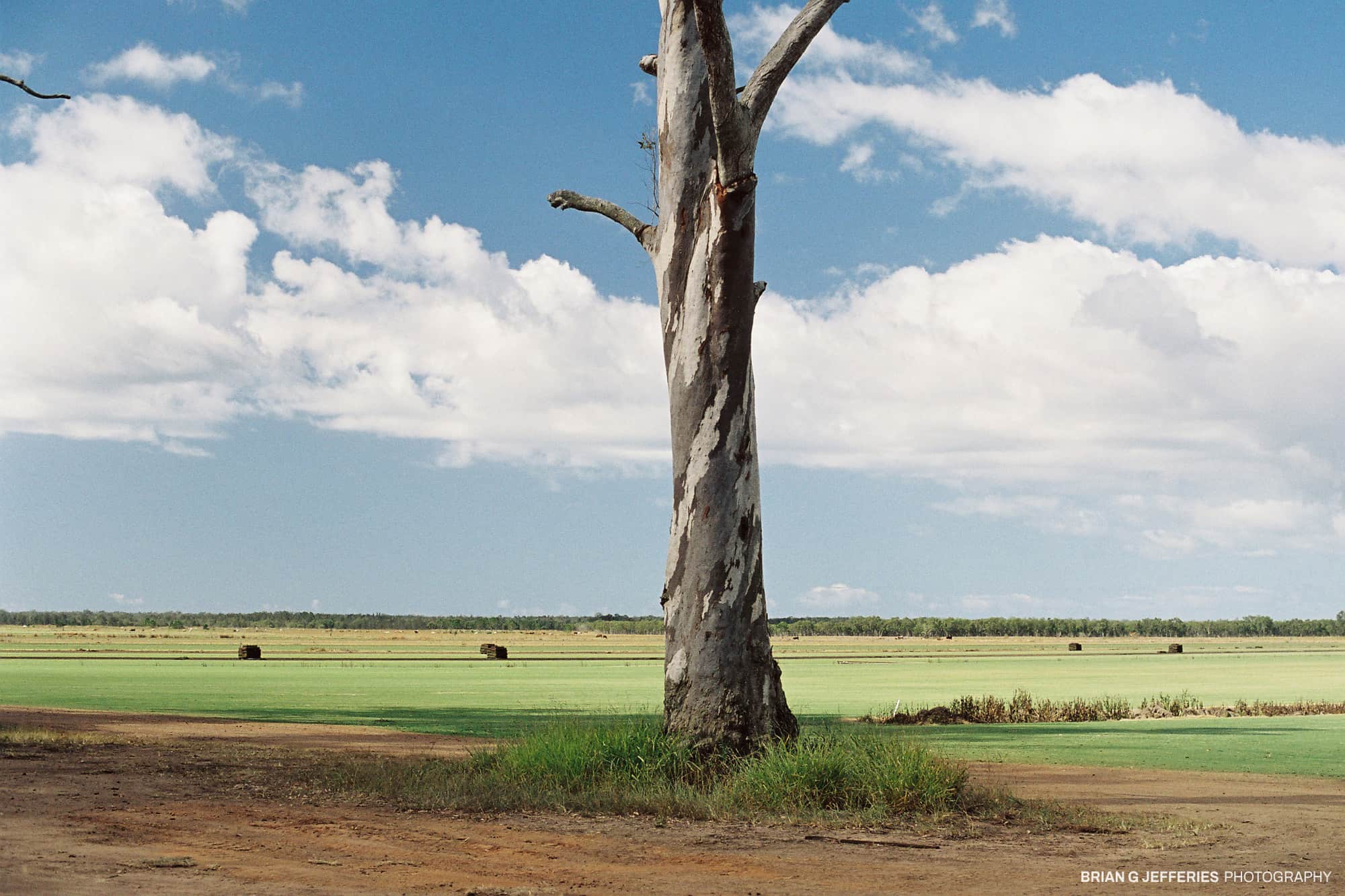 Beerburrum (Green Parrot Mountain. Kabi language) 2007