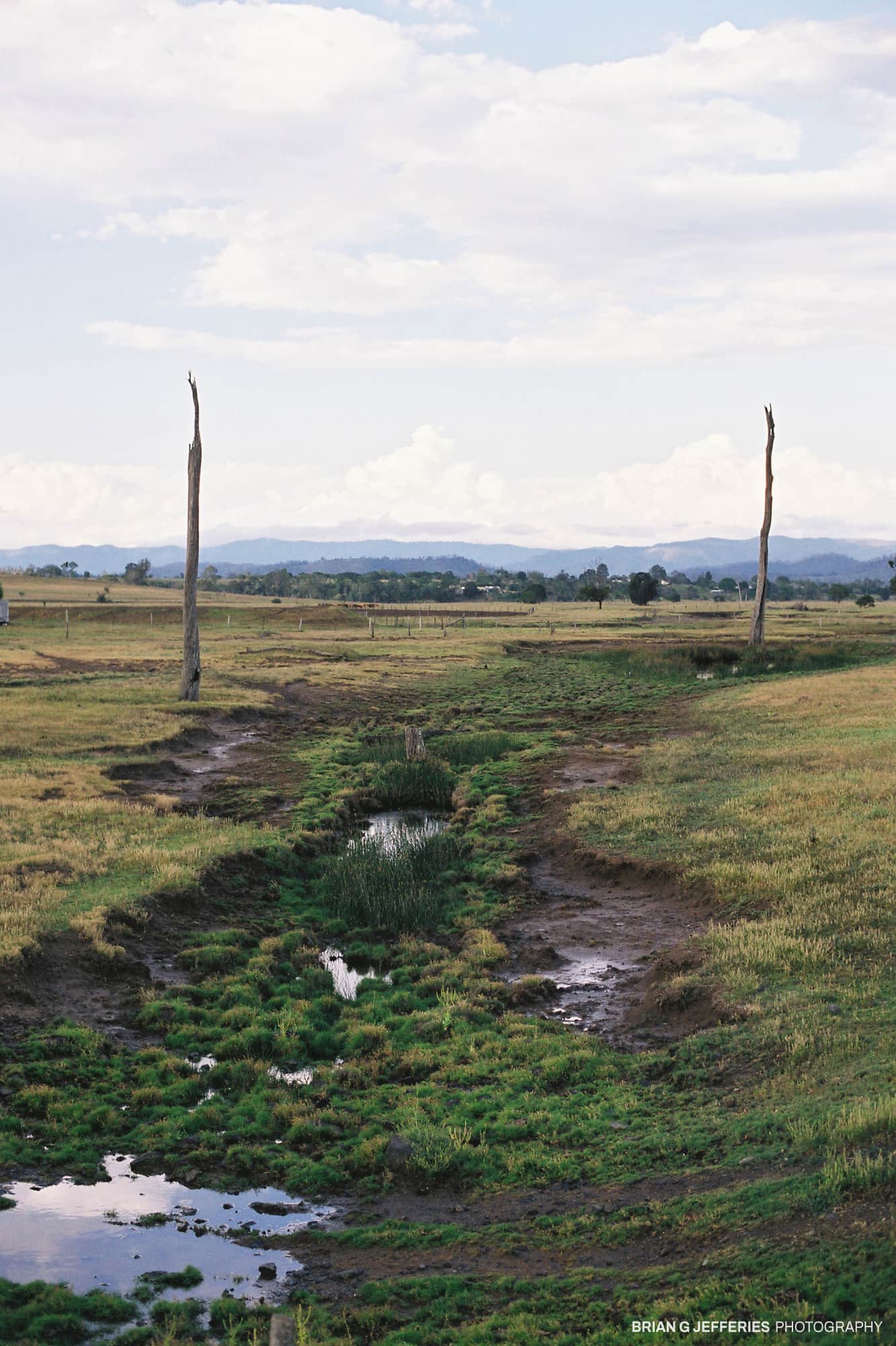Black Snake Creek 2005