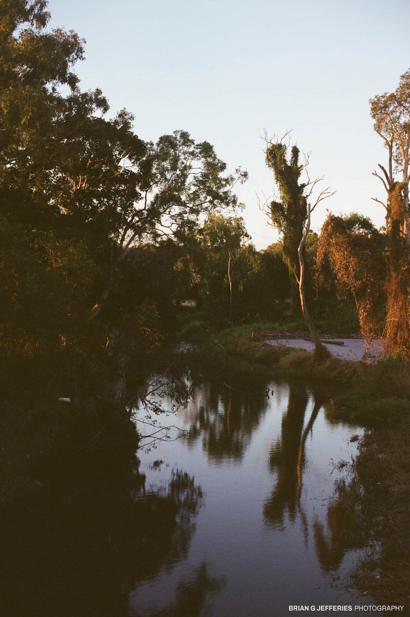 Coolnwynpin Creek 2009