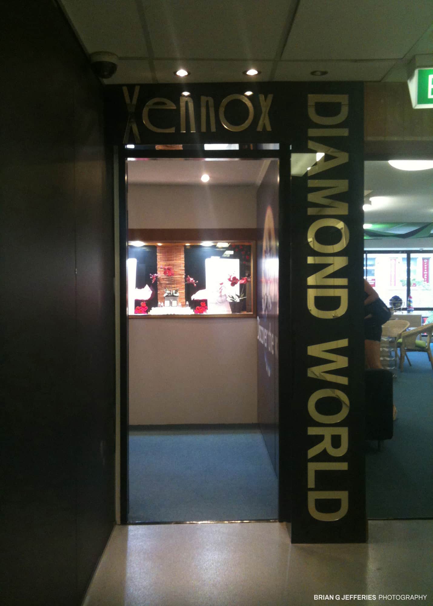 Diamond World 2010