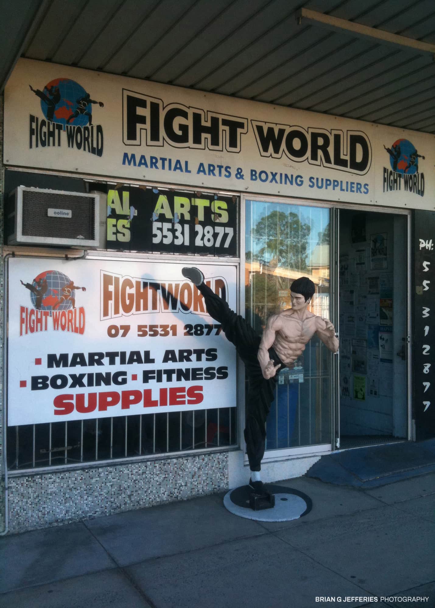 Fight World 2011
