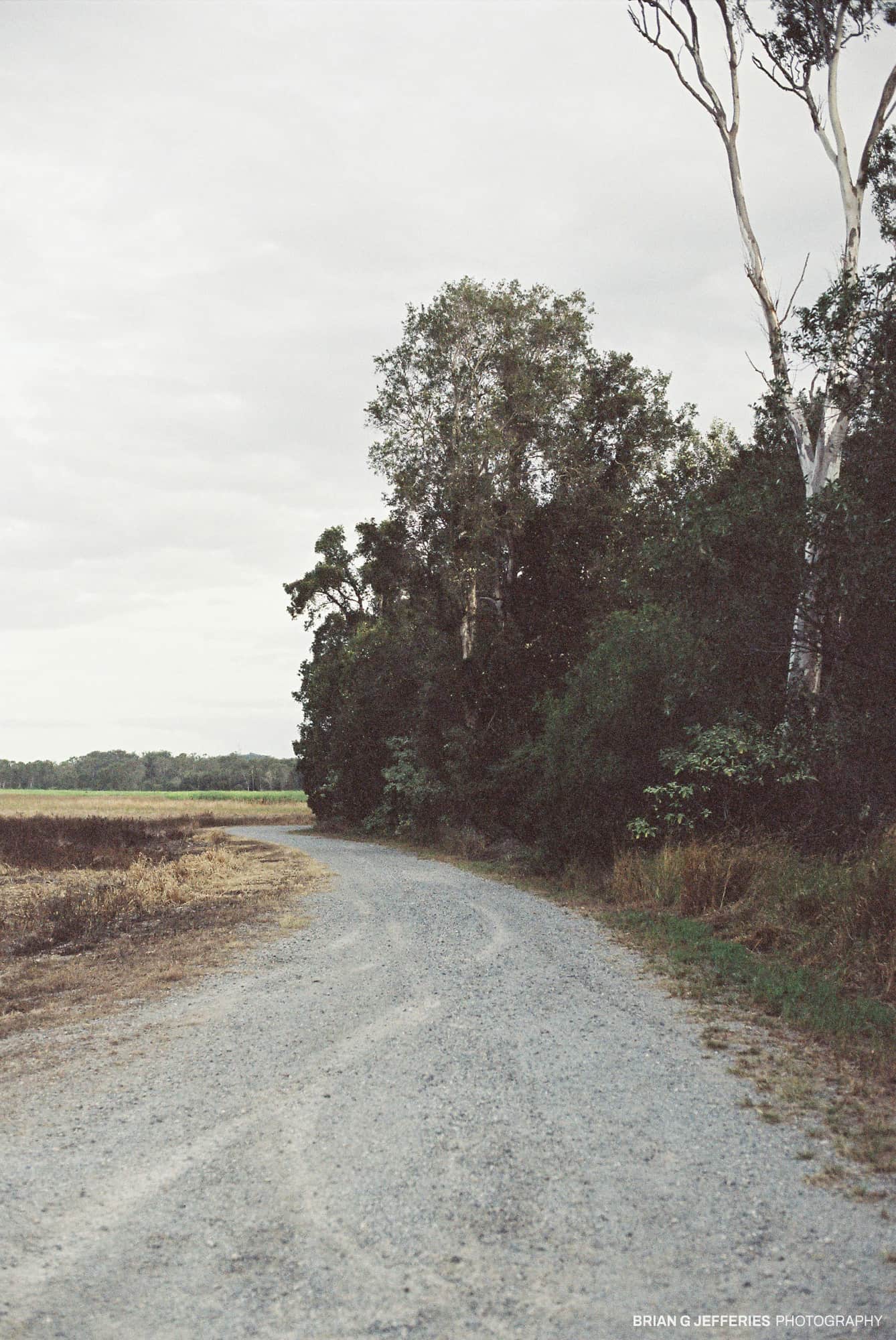 Goldmine Road 2005