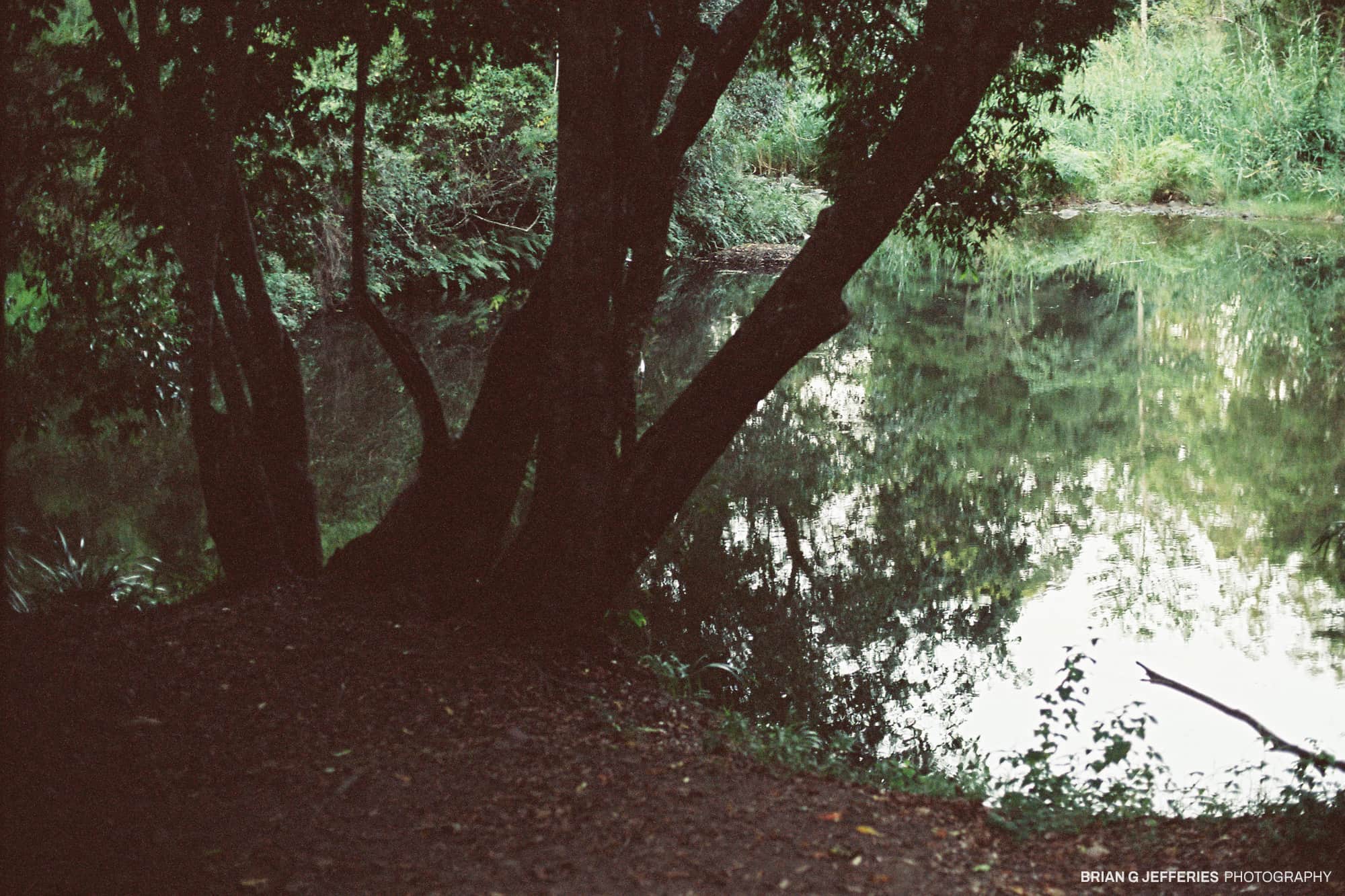 Hell Hole 2007