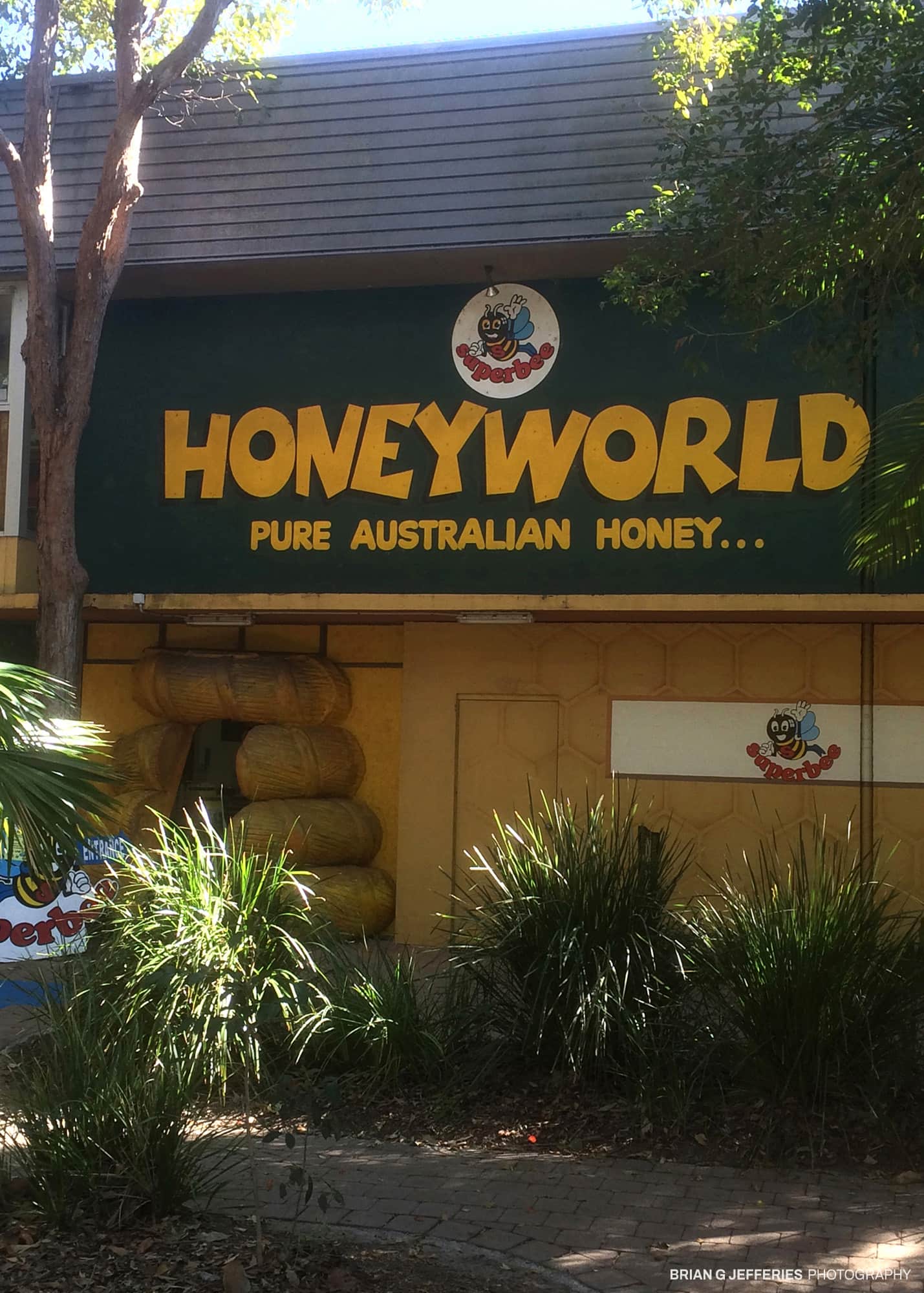 Honey World 2015
