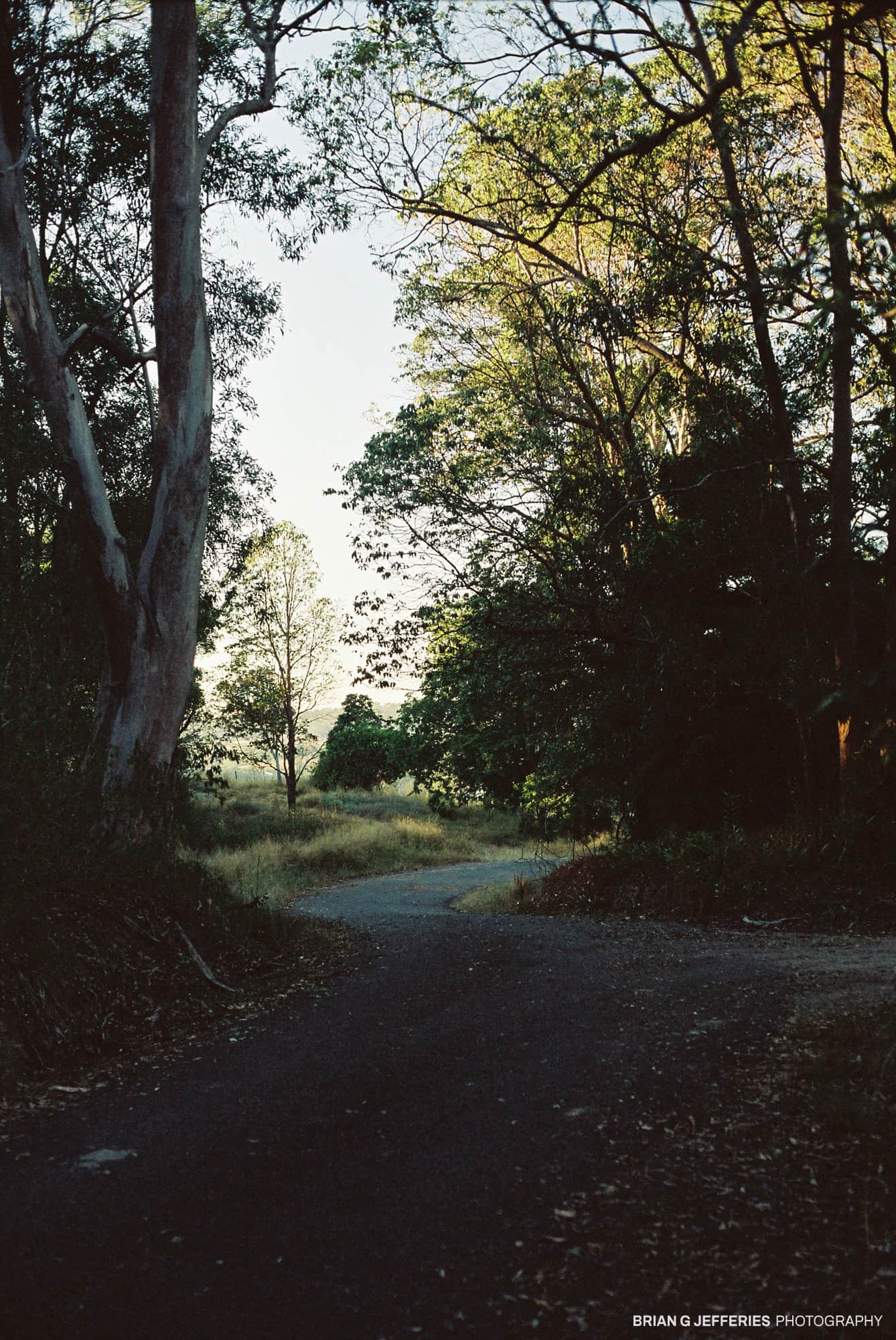 Old Cream Truck Road 2007