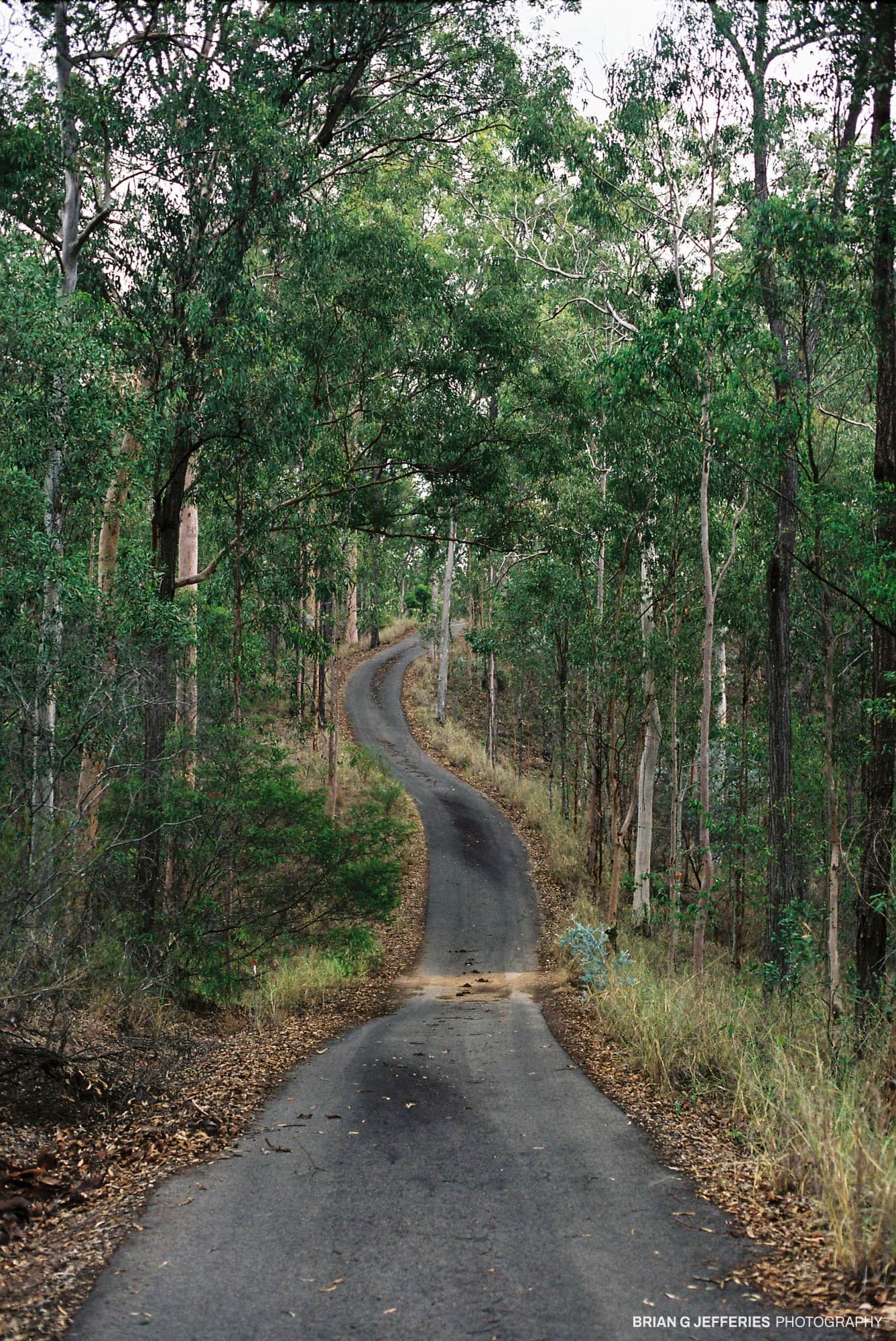 Old Farm Road 2007