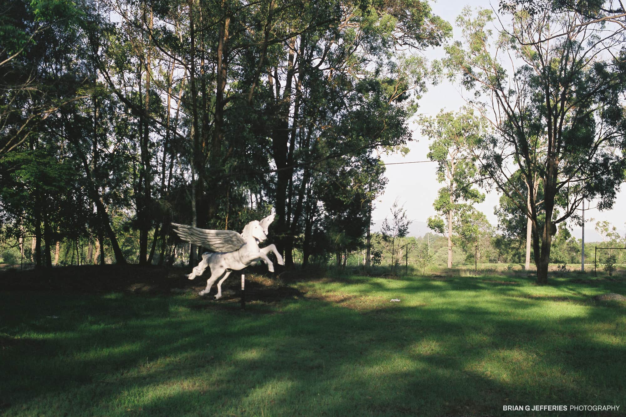 Pegasus 2009