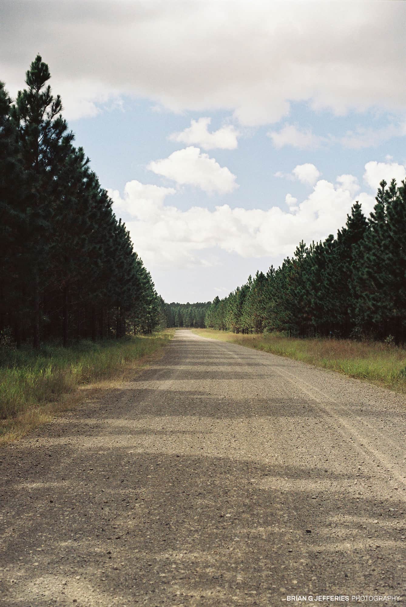Red Road 2007