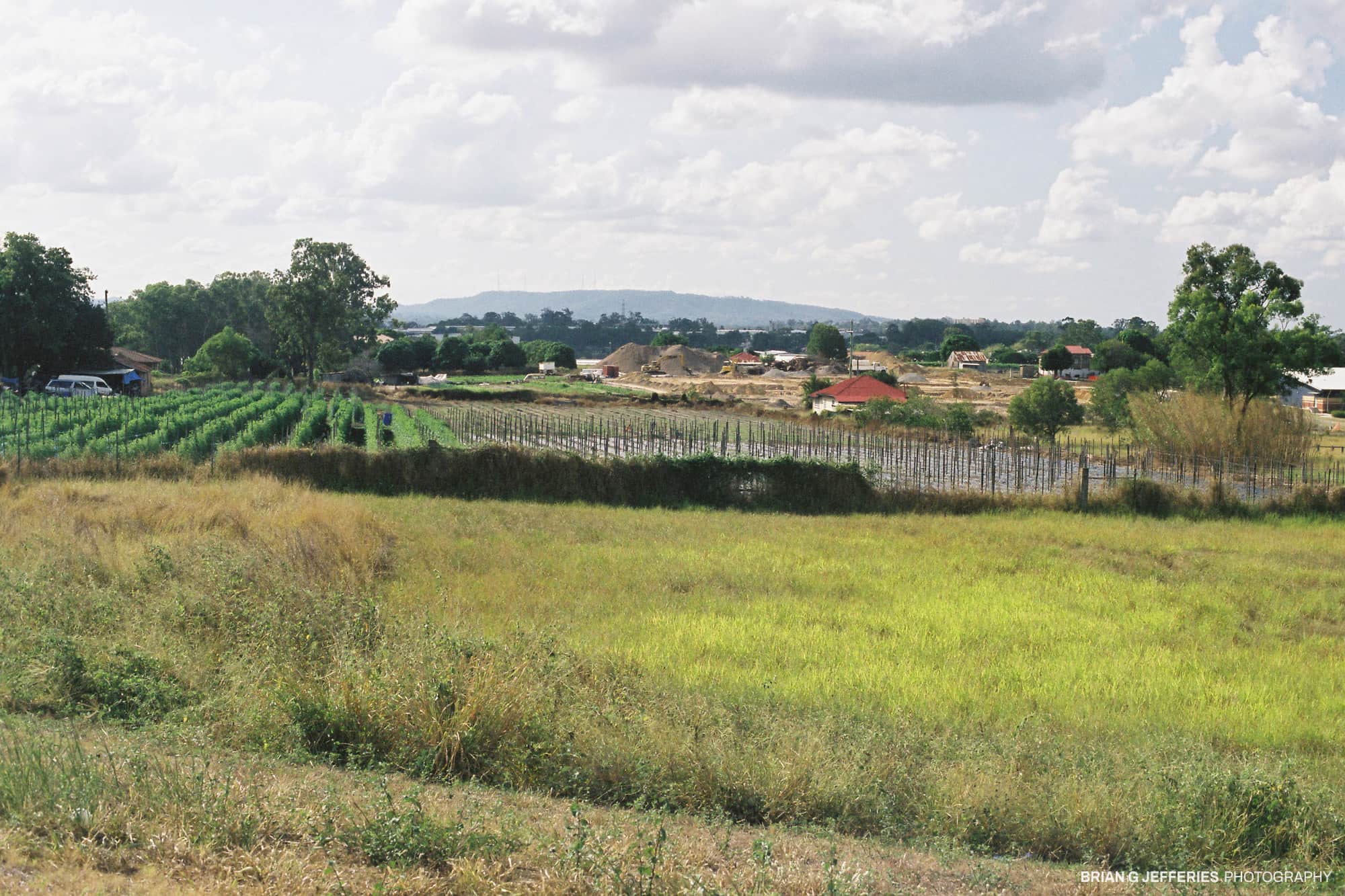 Rich Lands 2007