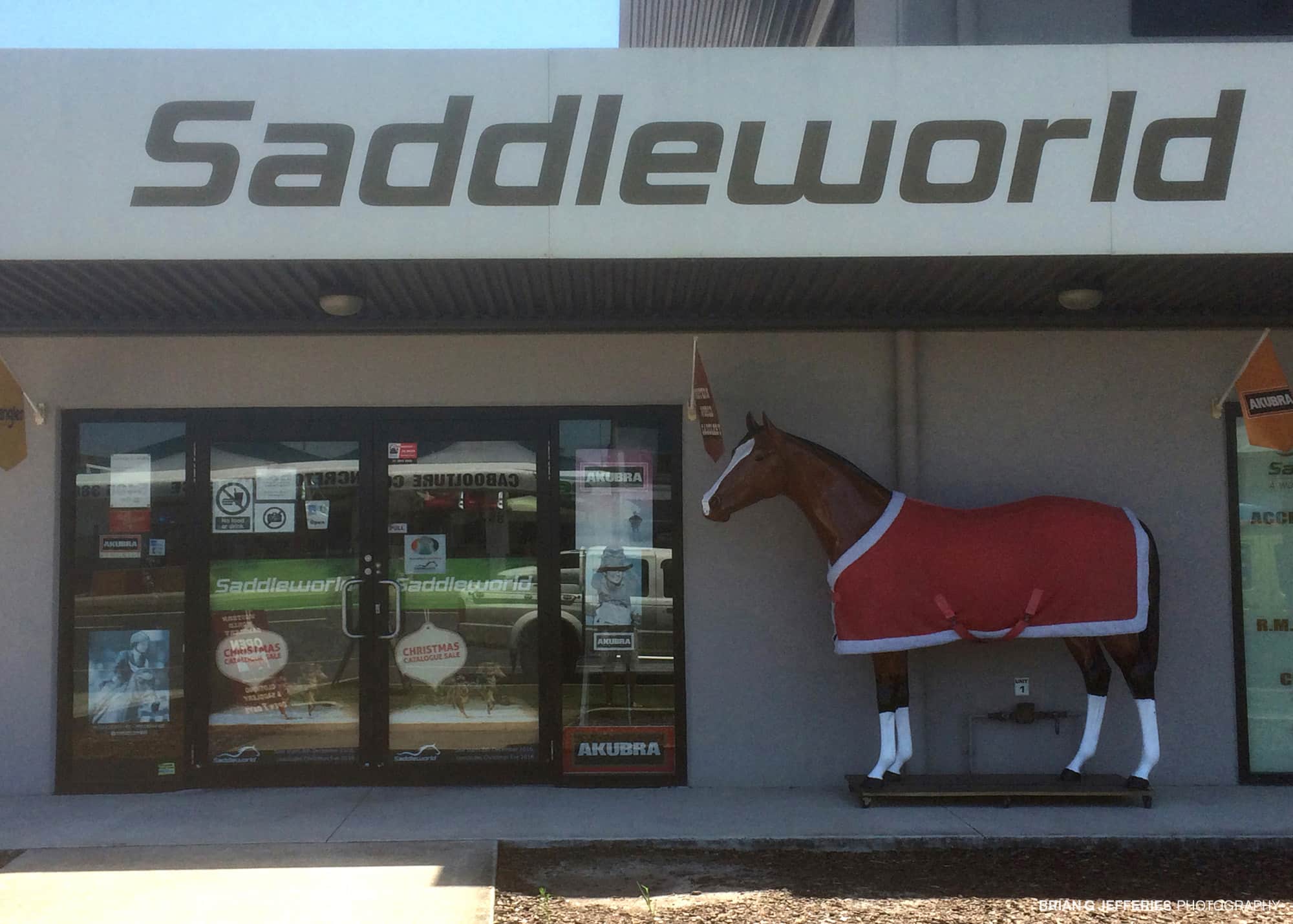 Saddle World 2016