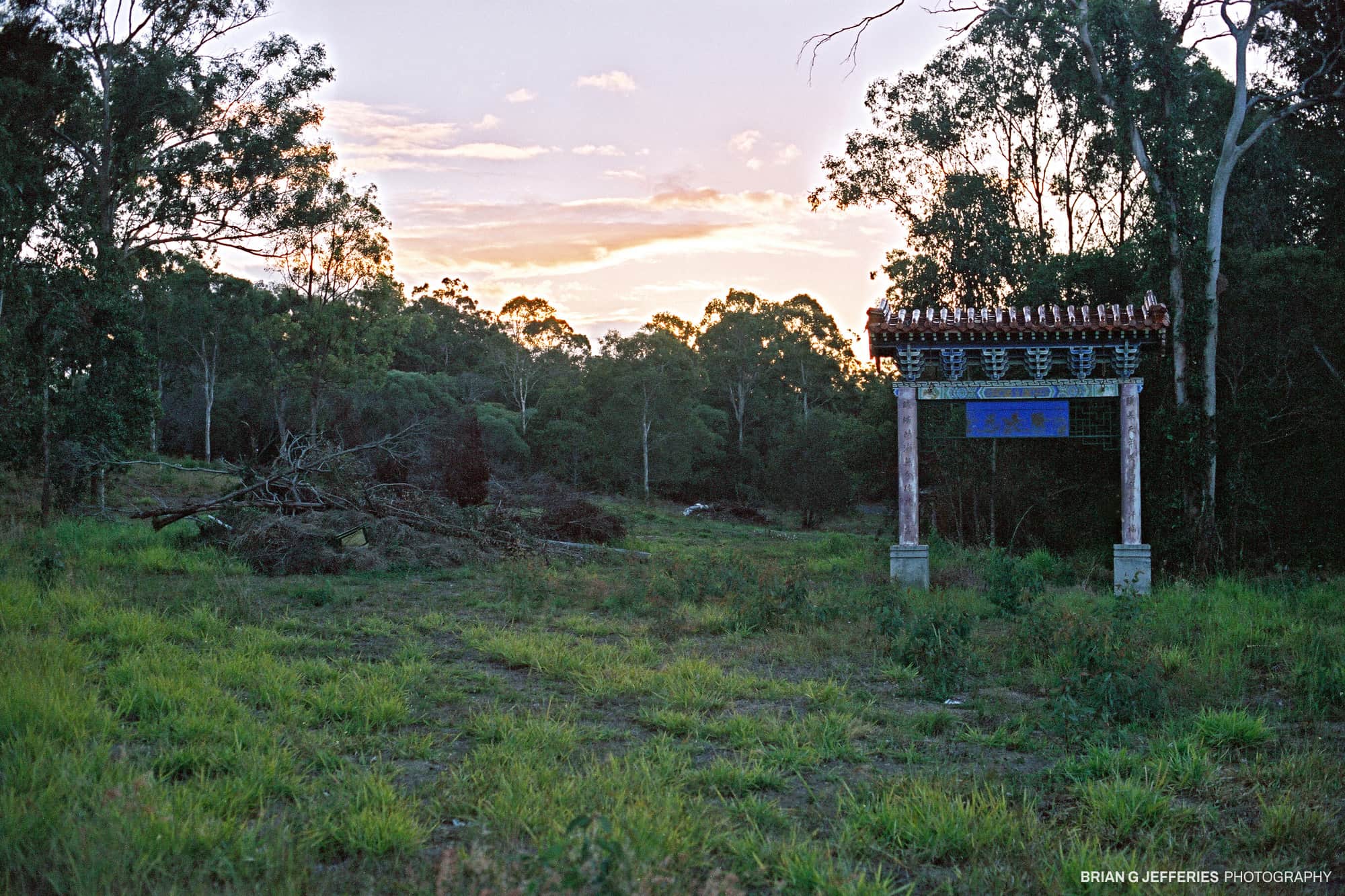 South Gate 2006