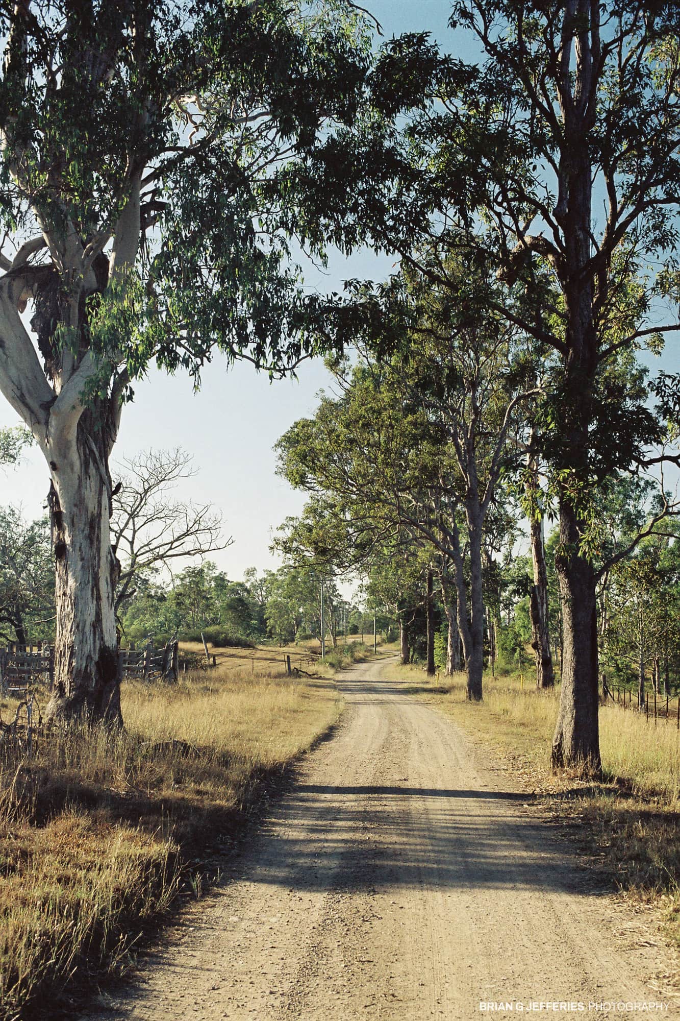 Strong Road 2007
