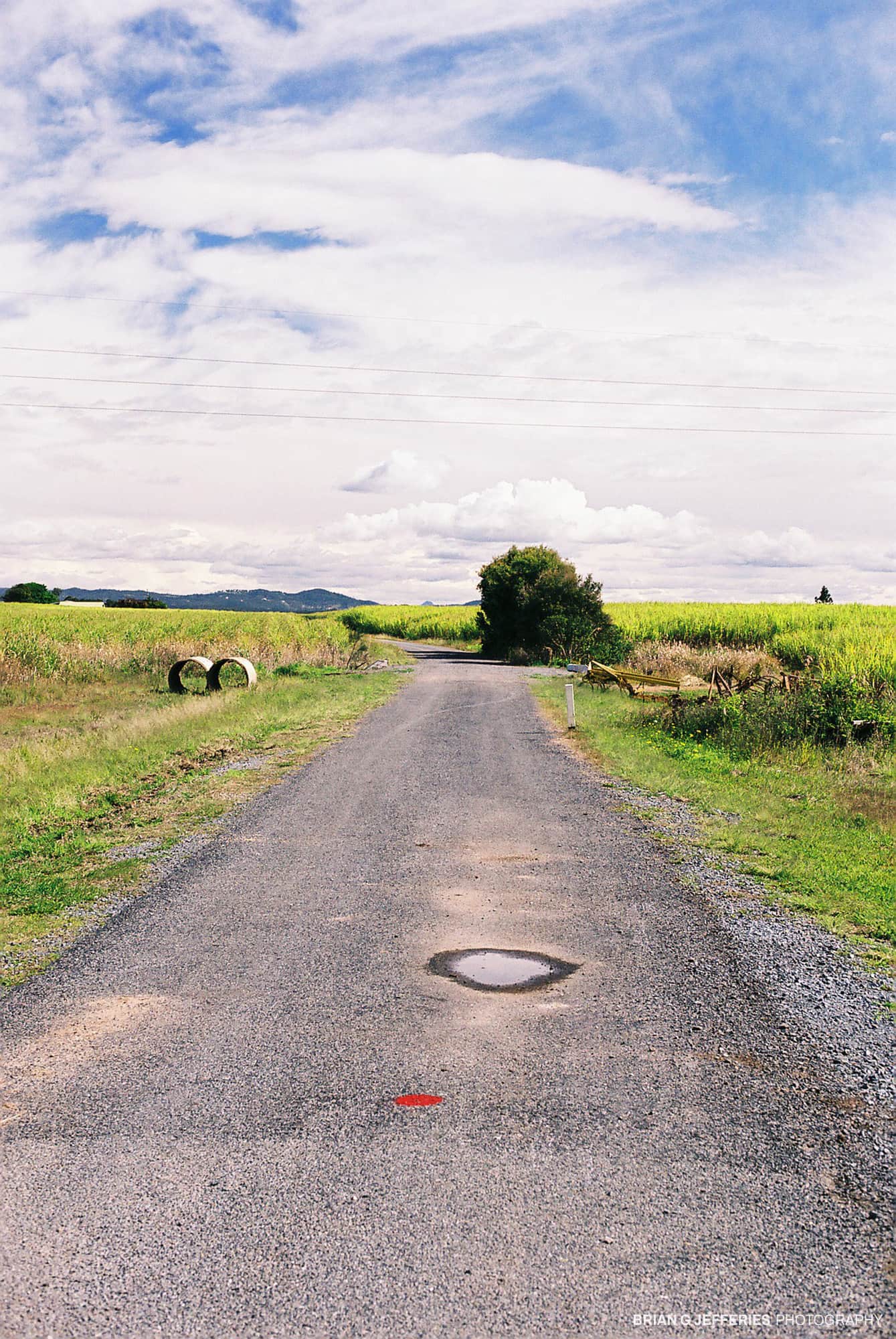 Swamp Road 2008