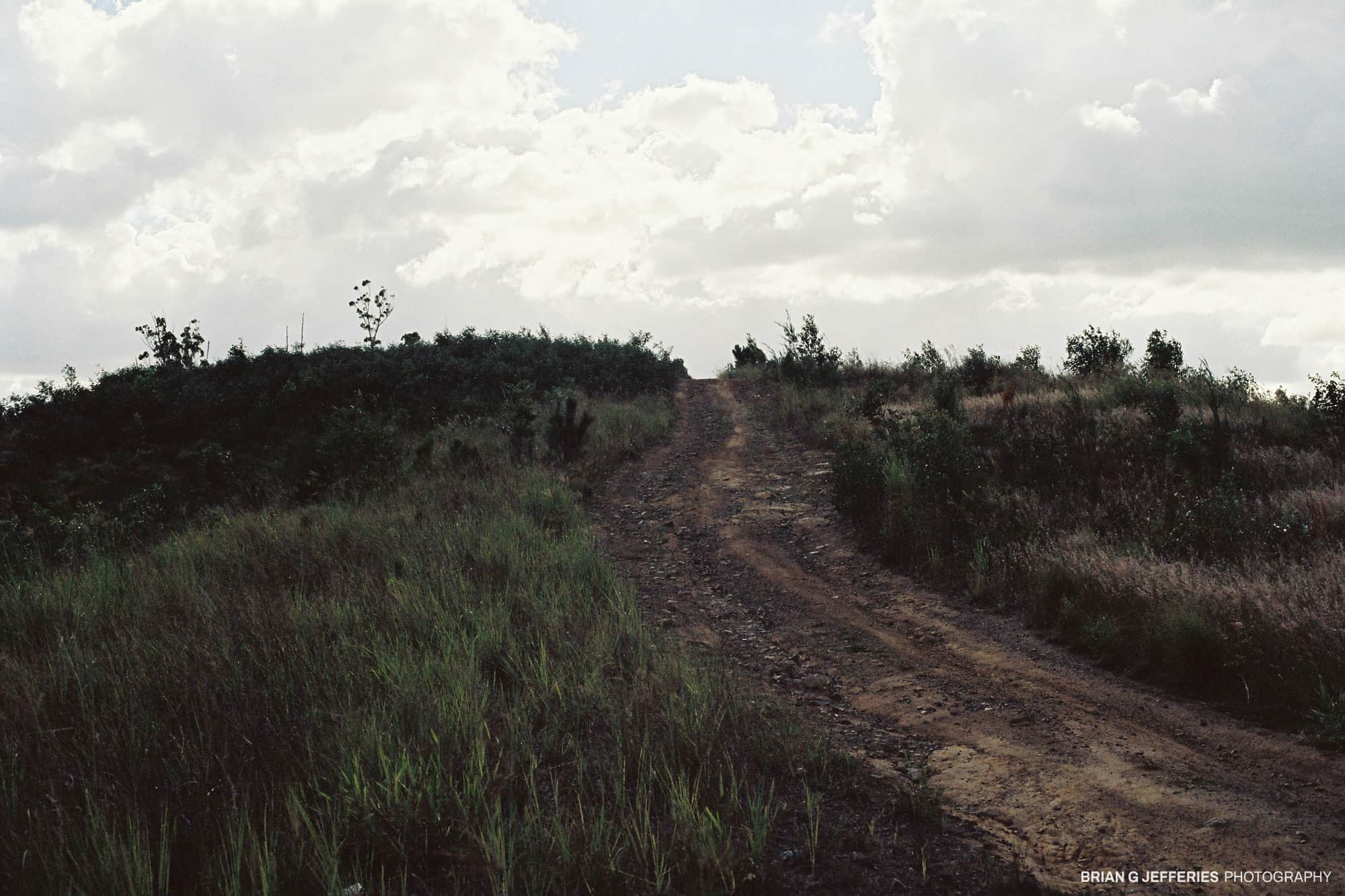Untitled Road 2007