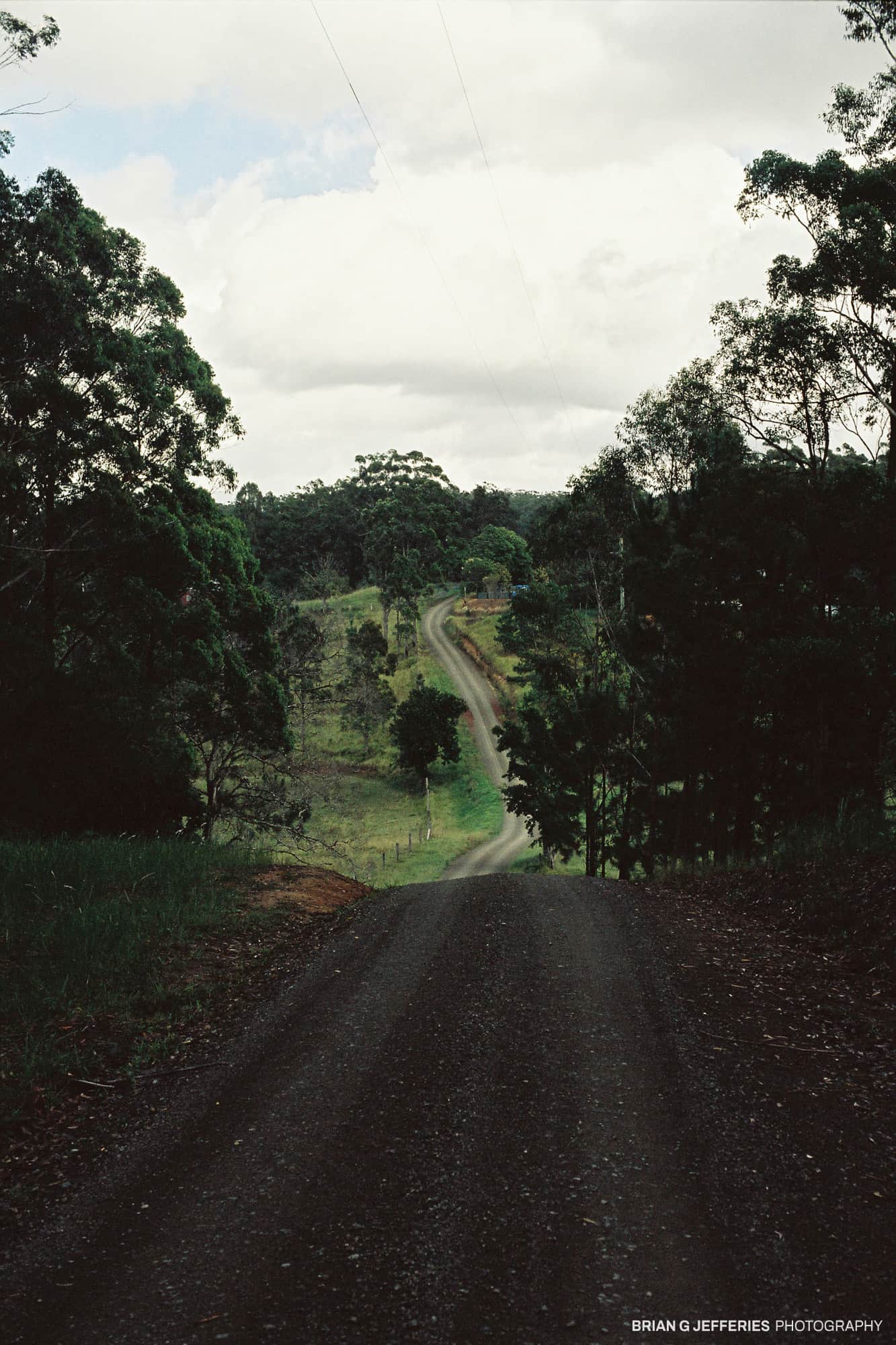 Wild Road 2005