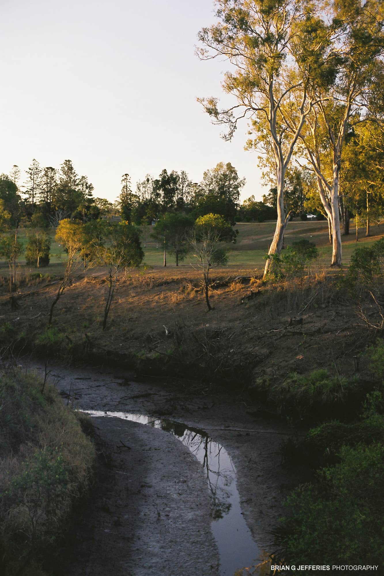 Woogaroo Creek 2008